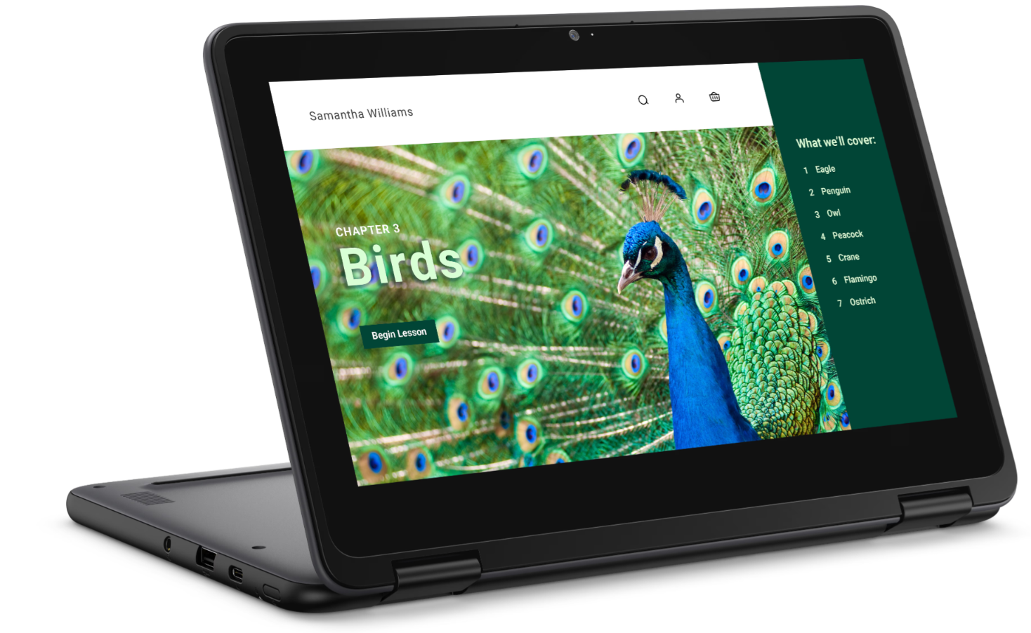 Dell Chromebook 3120 2in1 - J9HDD - 4GB/64GB