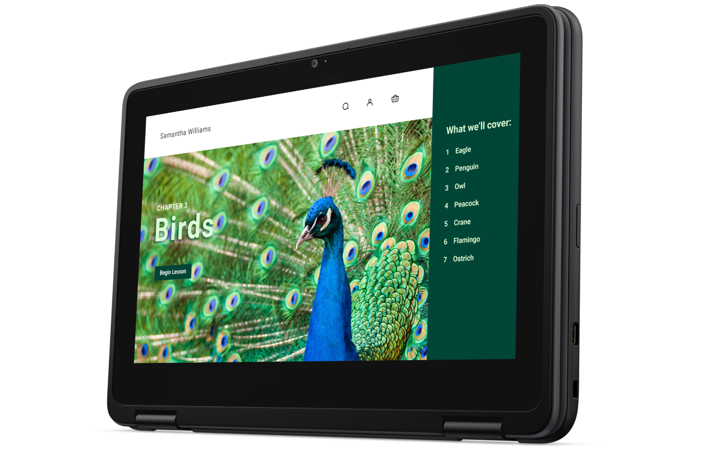 Dell Chromebook 3120 2in1 - J9HDD - 4GB/64GB