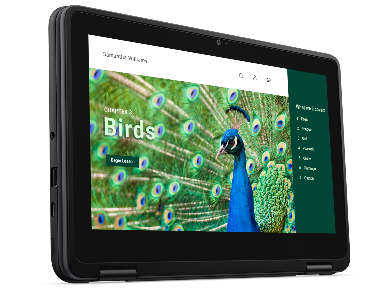 Dell Chromebook 3120 2in1 - J9HDD - 4GB/64GB