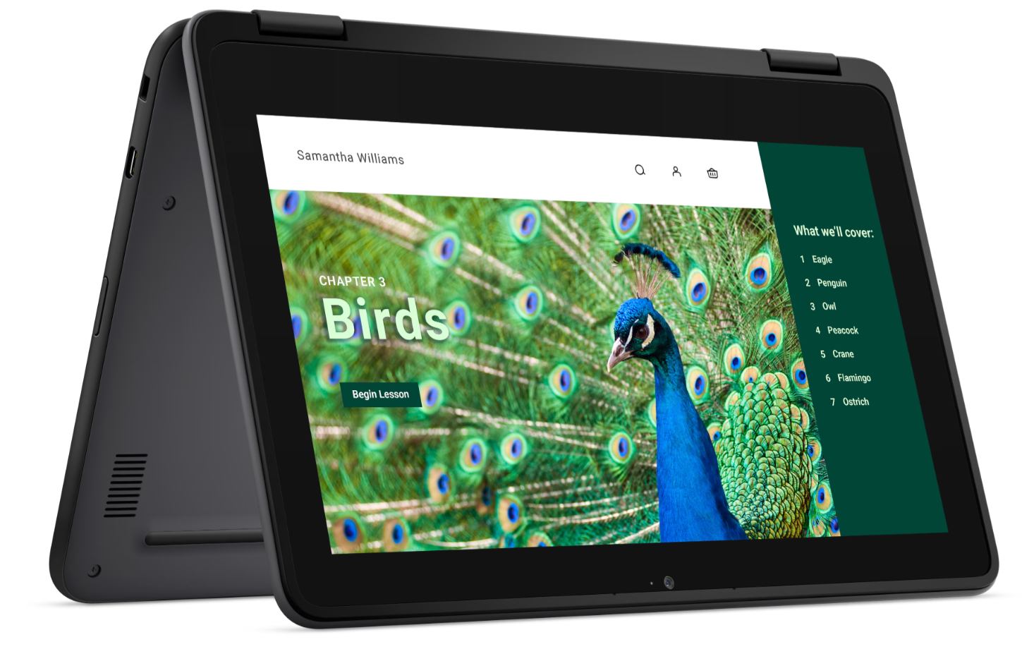 Dell Chromebook 3120 2in1 - J9HDD - 4GB/64GB