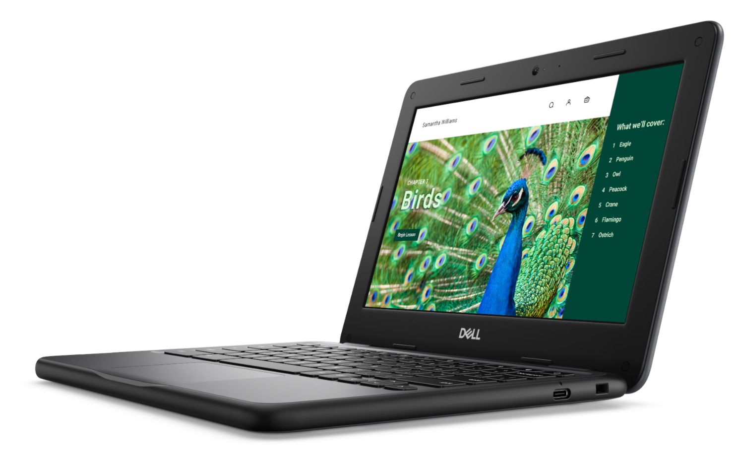 Dell Chromebook 3120 CS - NRD5N - 8GB/64GB