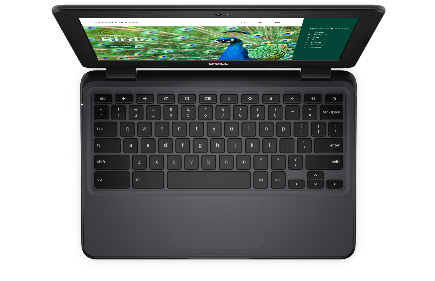 Dell Chromebook 3120 CS - CC6PF - 4GB/64GB