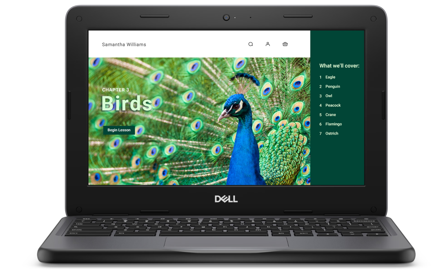 Dell Chromebook 3120 CS - CC6PF - 4GB/64GB